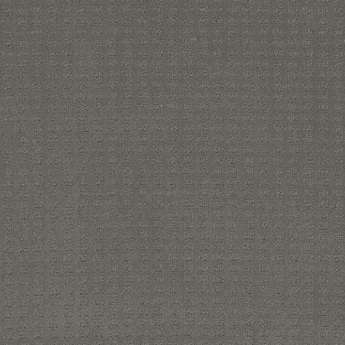 DreamWeaver® Caspian Patterned Carpet