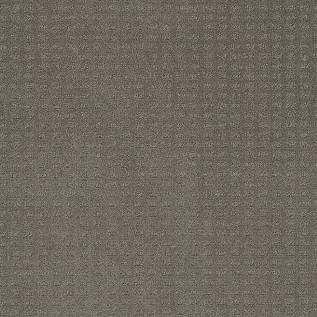 DreamWeaver® Caspian Patterned Carpet