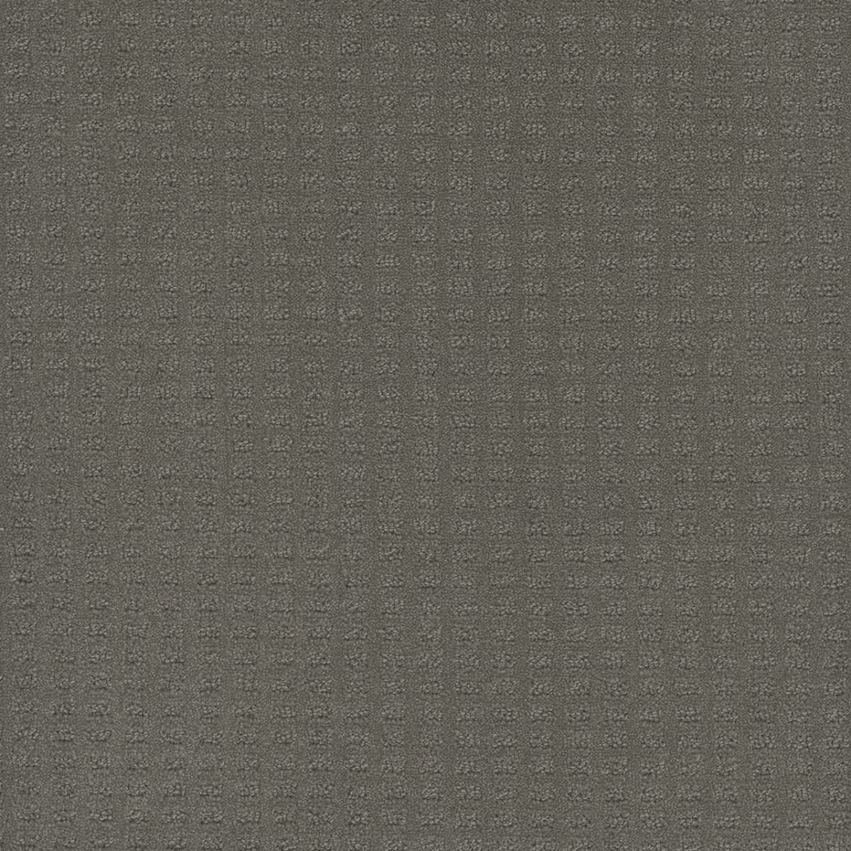 DreamWeaver® Caspian Patterned Carpet