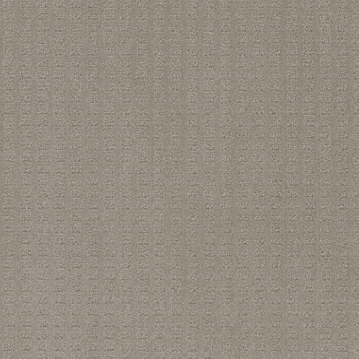 DreamWeaver® Caspian Patterned Carpet