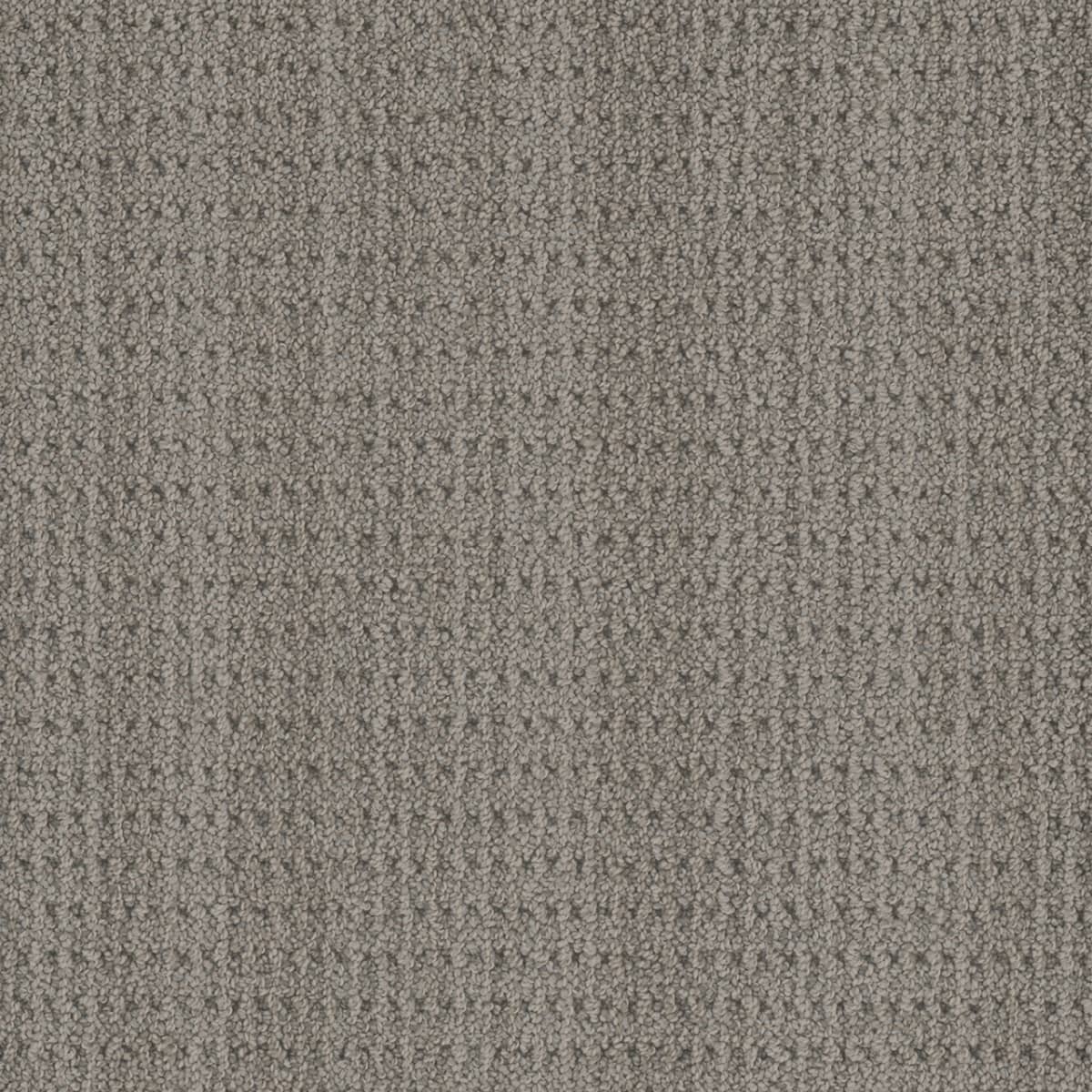 DreamWeaver® Select Chelsea Patterned Carpet