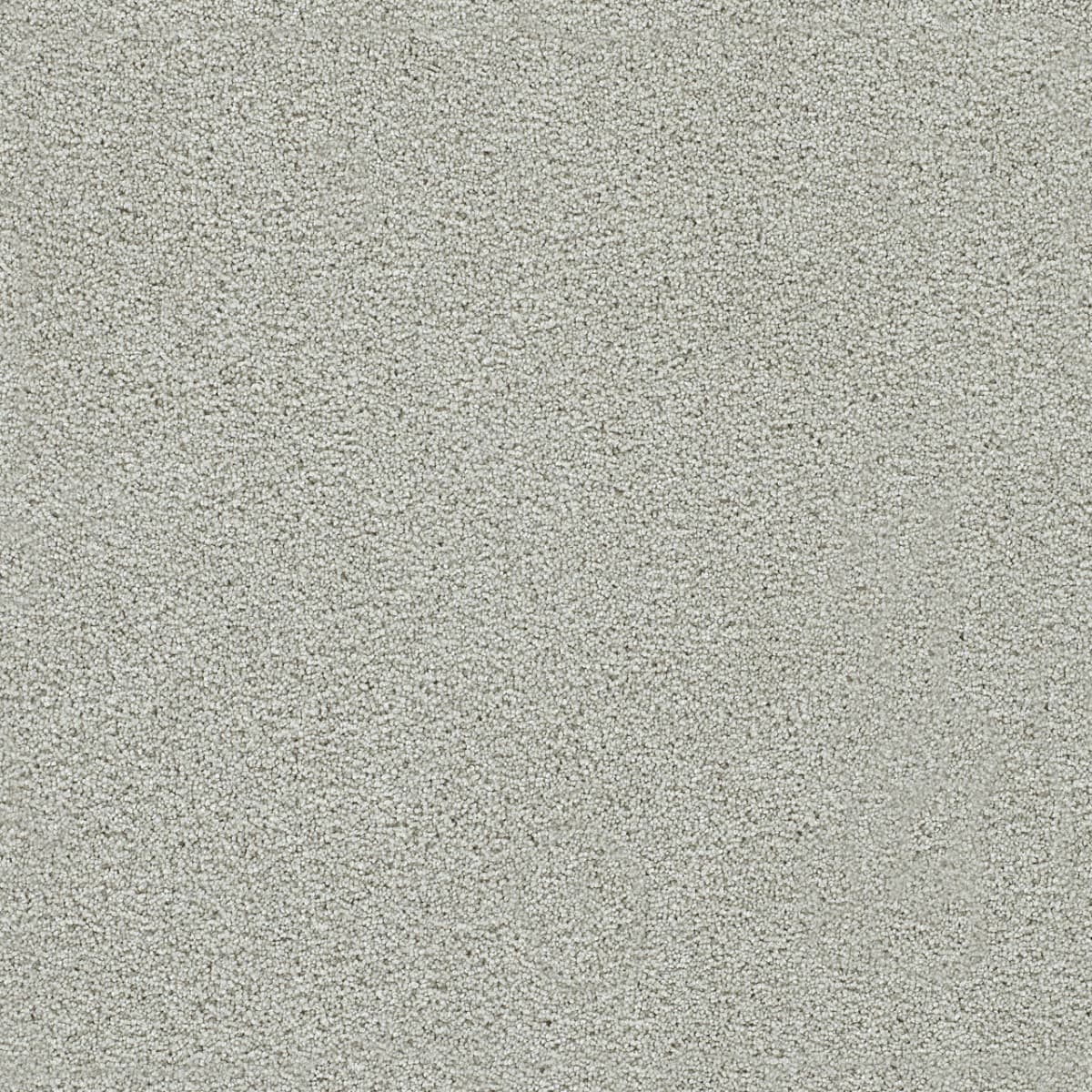 DreamWeaver® Clear Skies II Texture Carpet