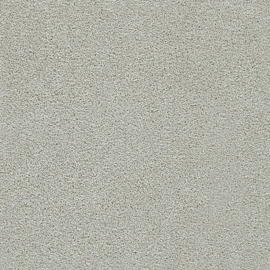 DreamWeaver® Clear Skies I Texture Carpet