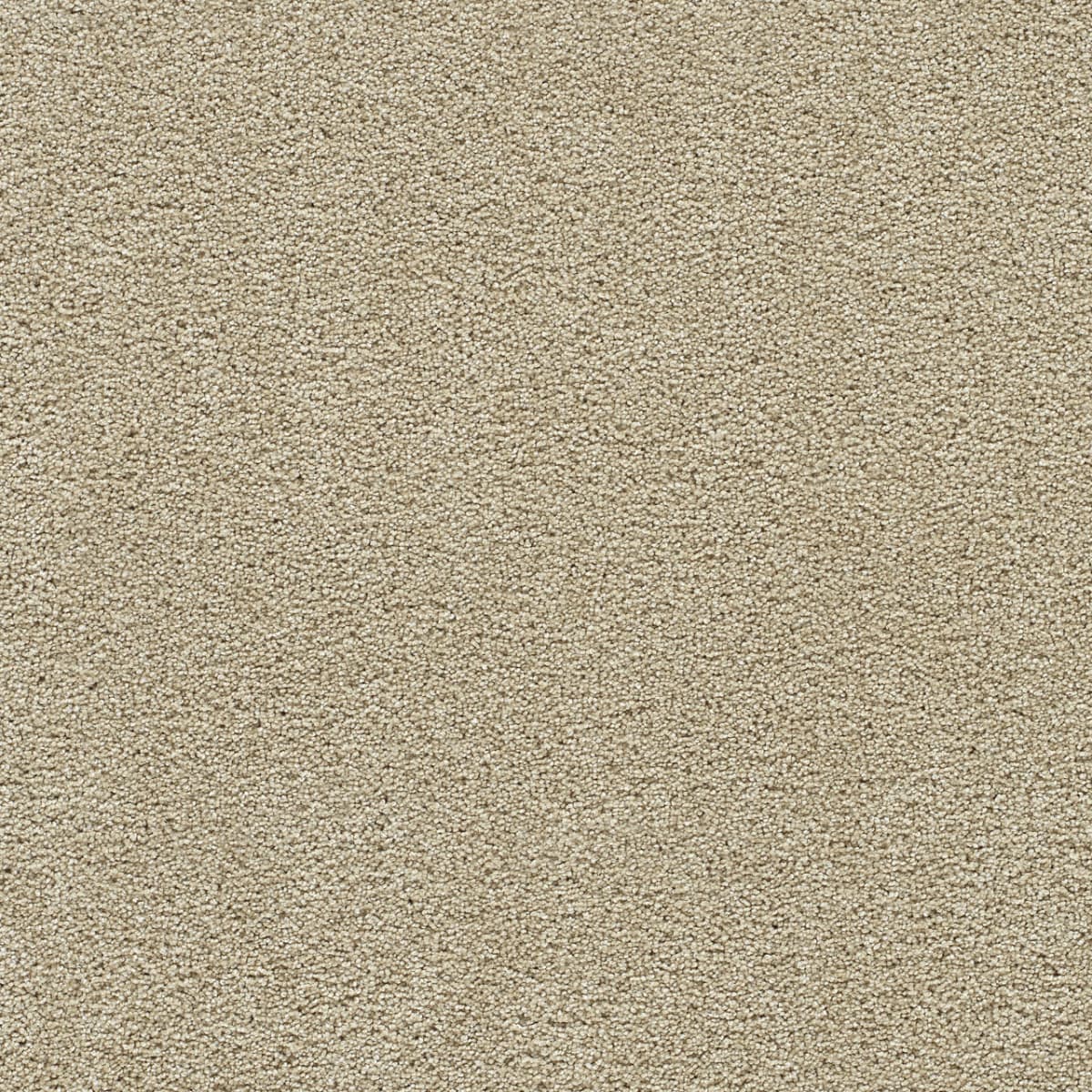 DreamWeaver® Clear Skies II Texture Carpet