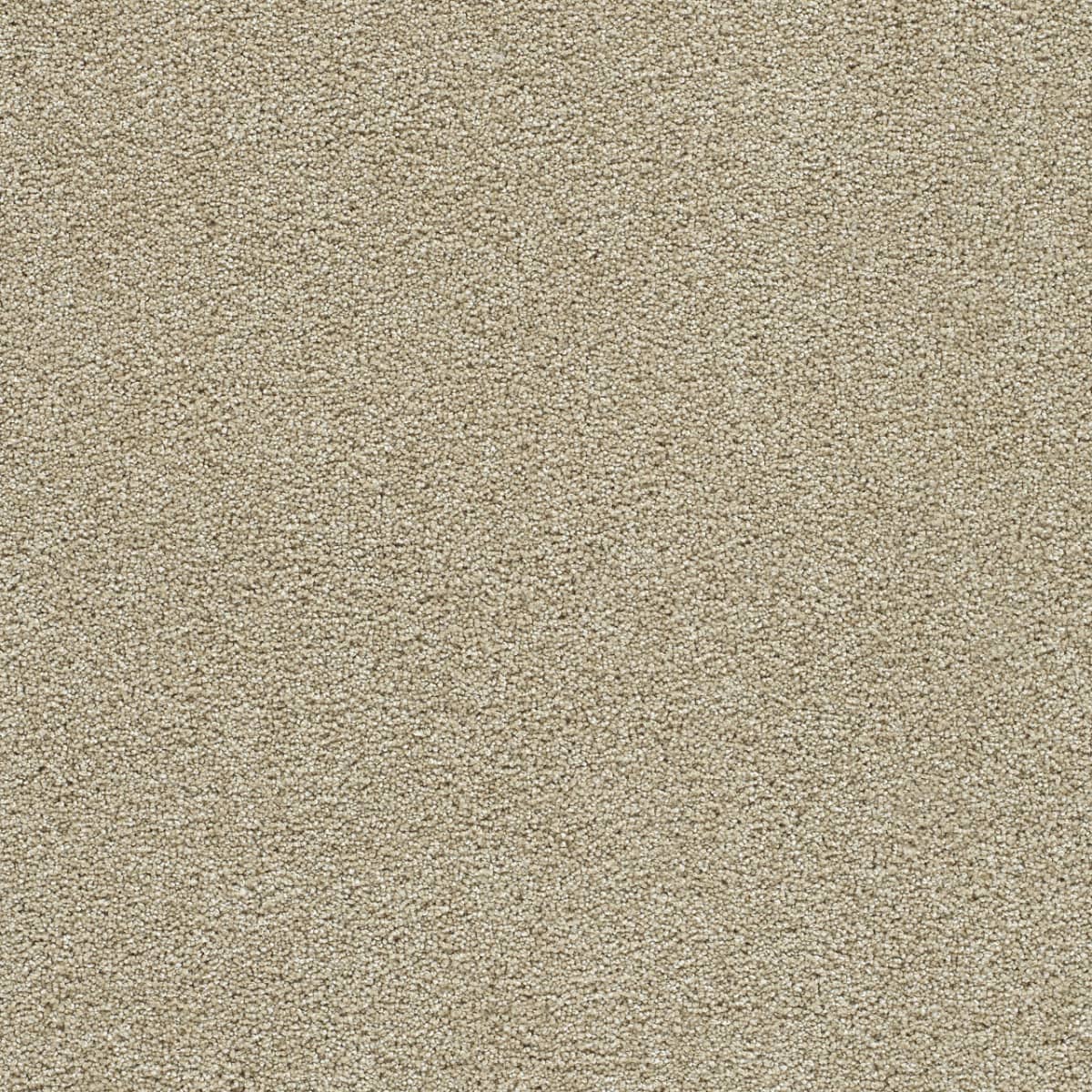 DreamWeaver® Clear Skies II Texture Carpet