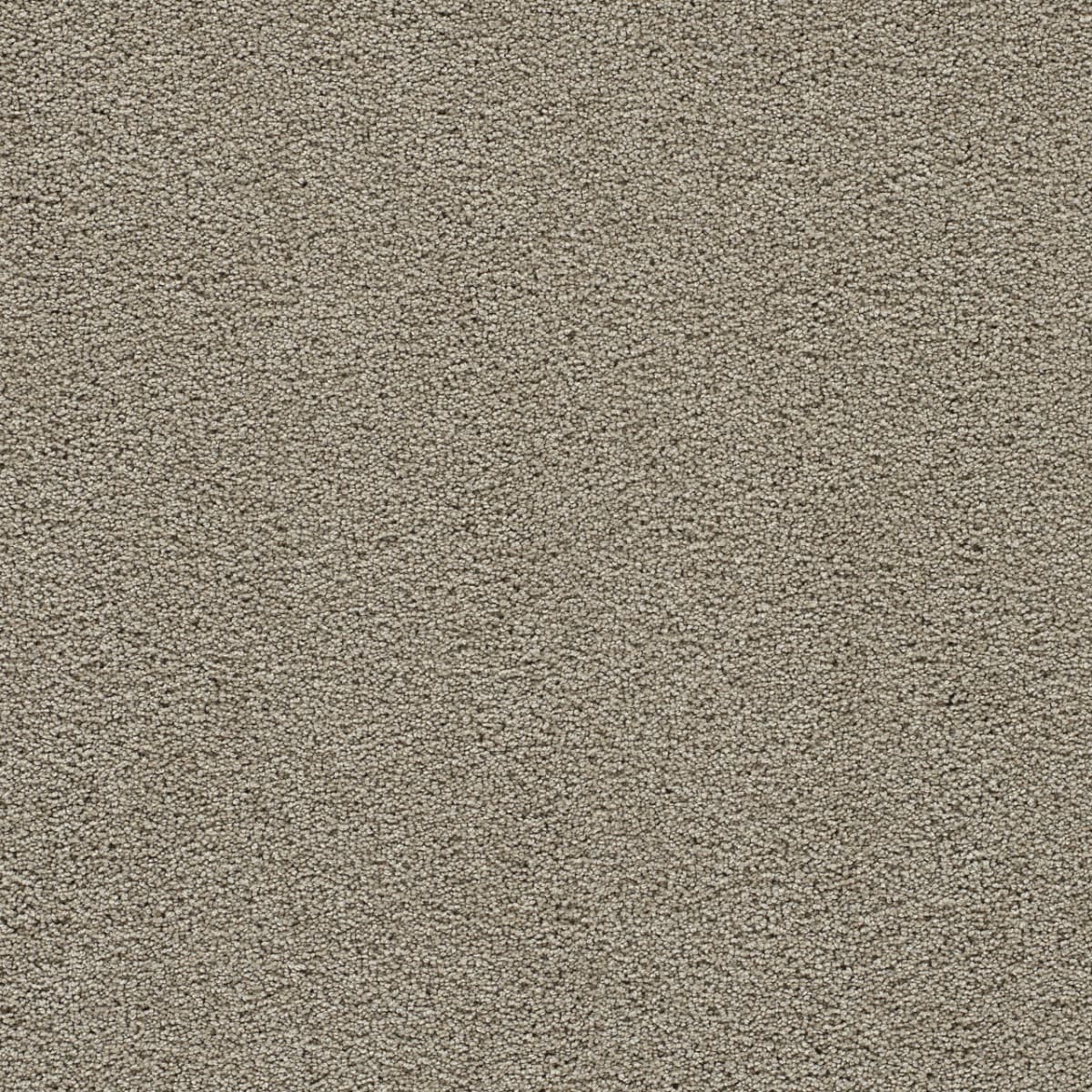 DreamWeaver® Clear Skies II Texture Carpet