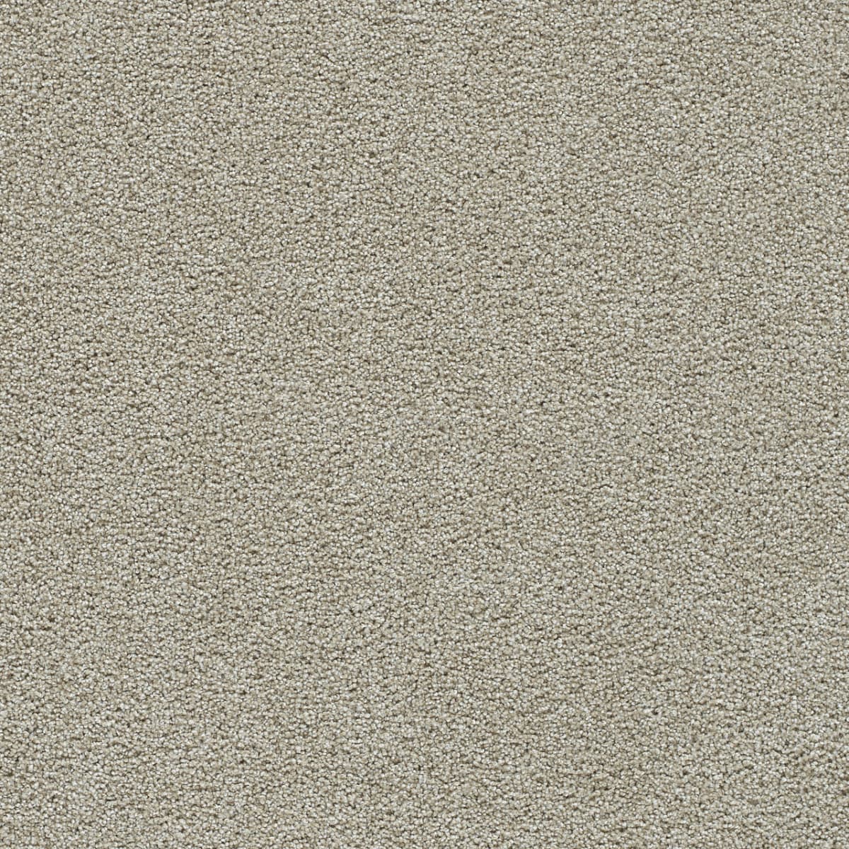 DreamWeaver® Clear Skies II Texture Carpet