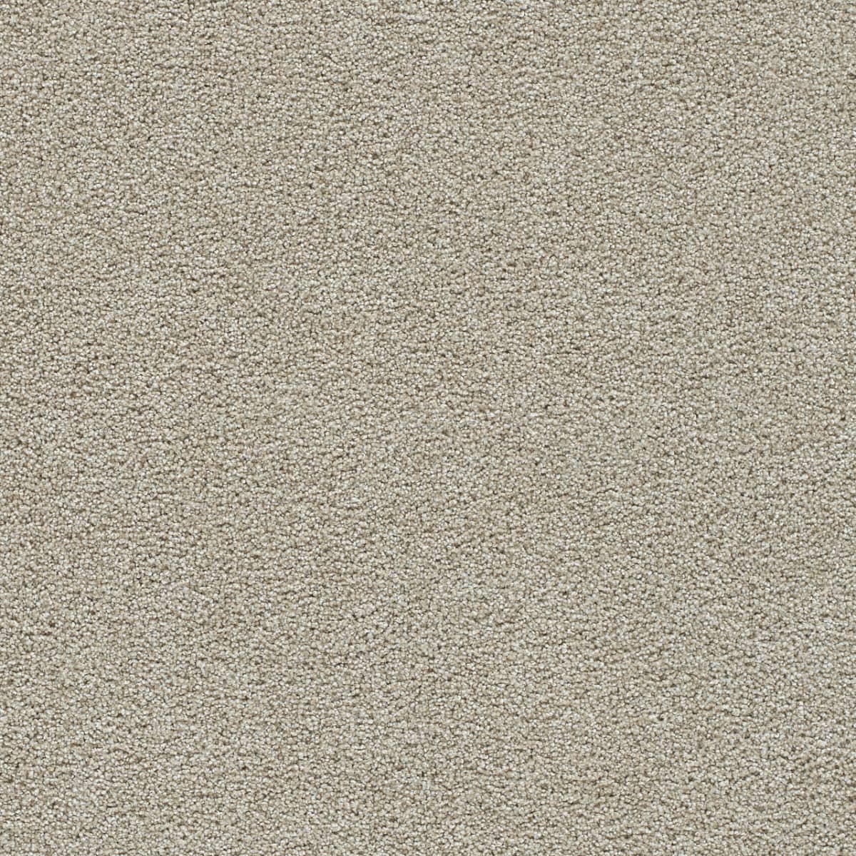 DreamWeaver® Clear Skies II Texture Carpet