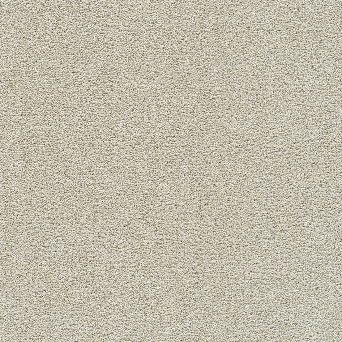 DreamWeaver® Clear Skies II Texture Carpet