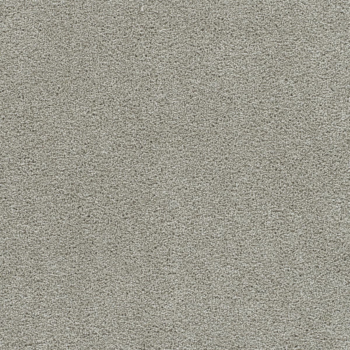 DreamWeaver® Clear Skies II Texture Carpet