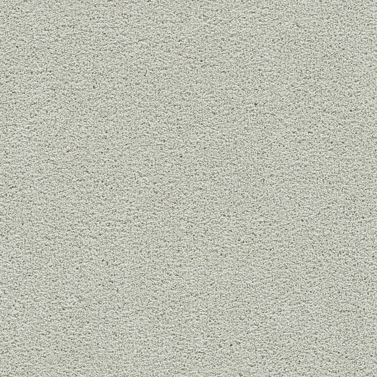 DreamWeaver® Clear Skies II Texture Carpet