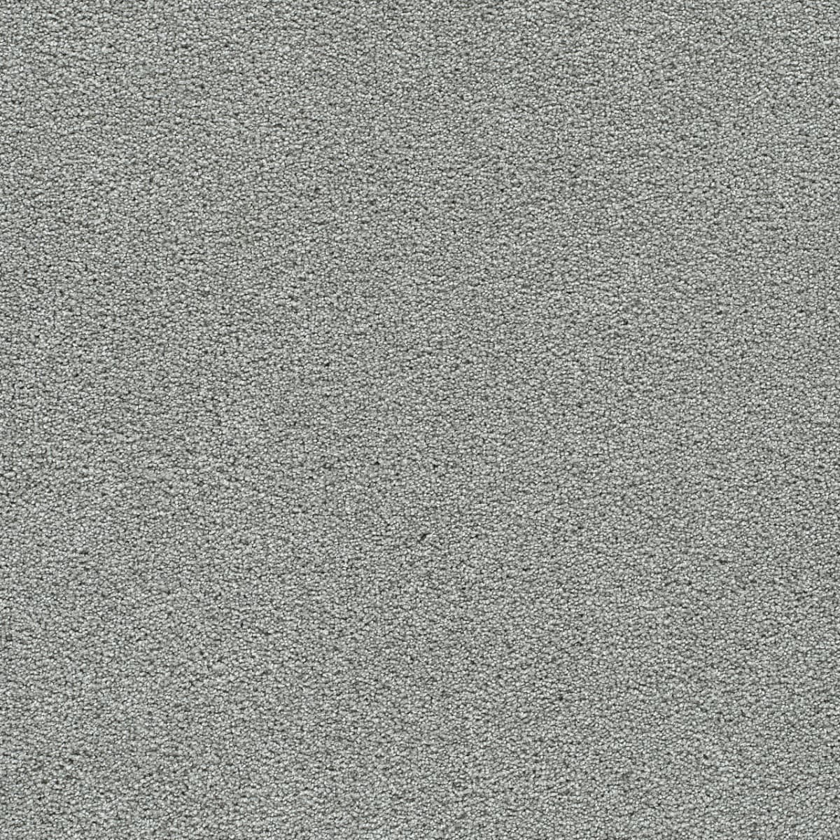 DreamWeaver® Clear Skies II Texture Carpet