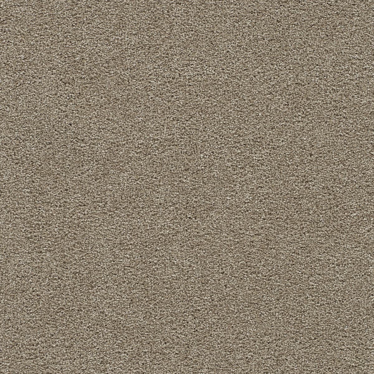 DreamWeaver® Clear Skies II Texture Carpet