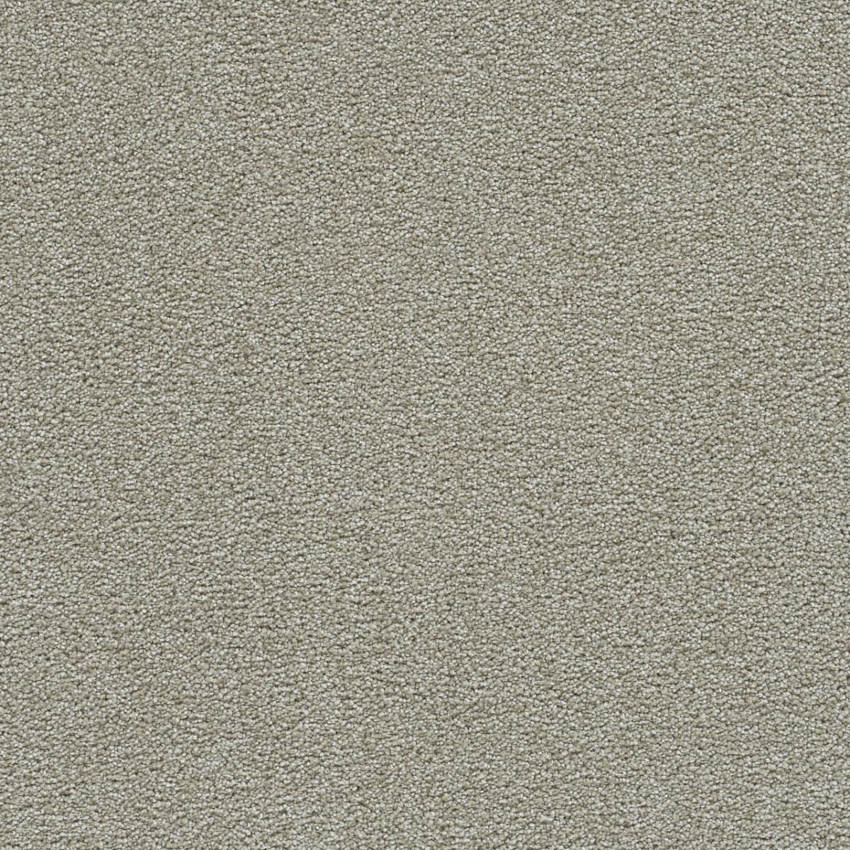 DreamWeaver® Clearwater II Texture Carpet