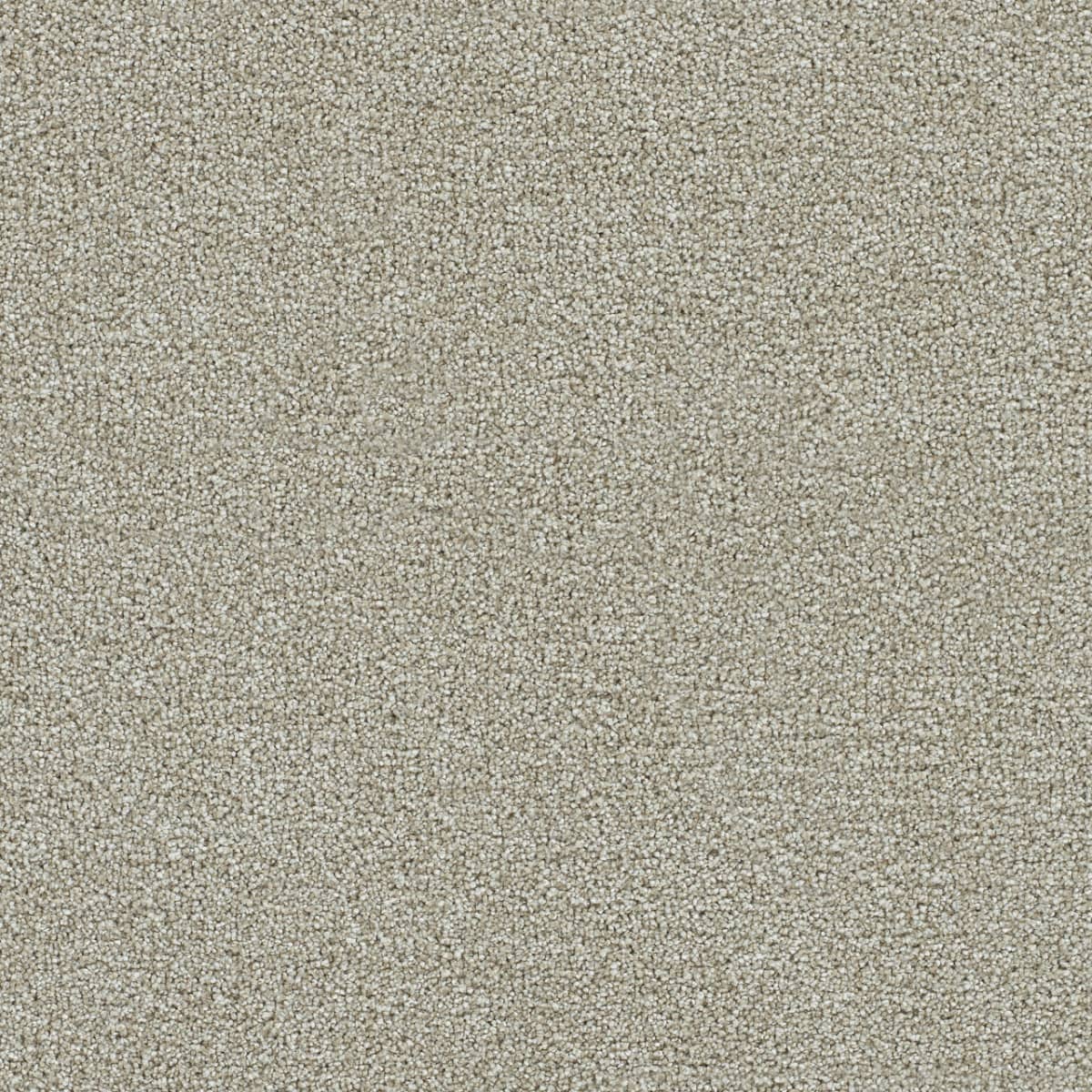 DreamWeaver® Clearwater II Texture Carpet
