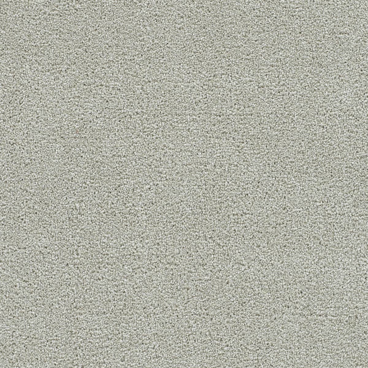 DreamWeaver® Clearwater II Texture Carpet