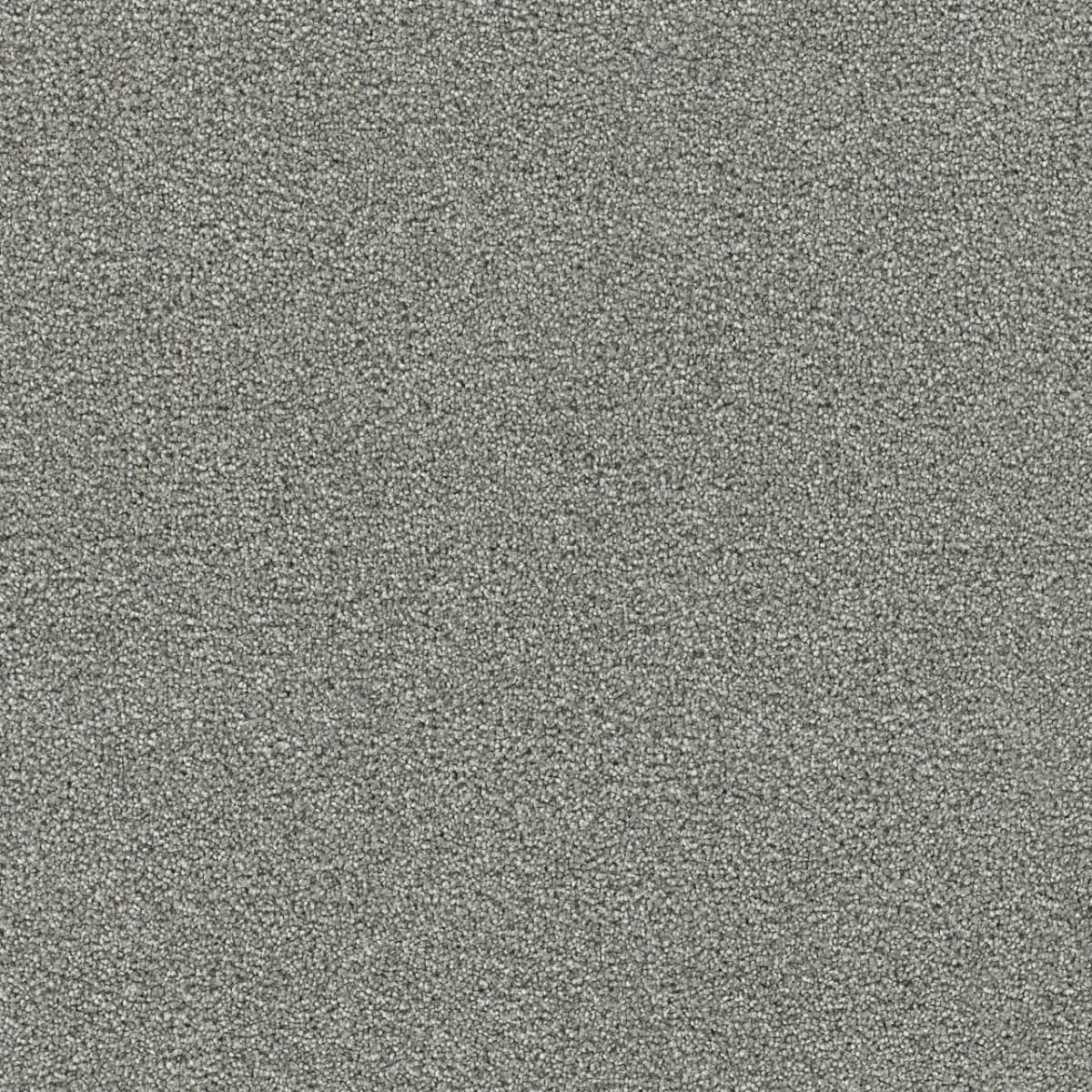 DreamWeaver® Clearwater II Texture Carpet