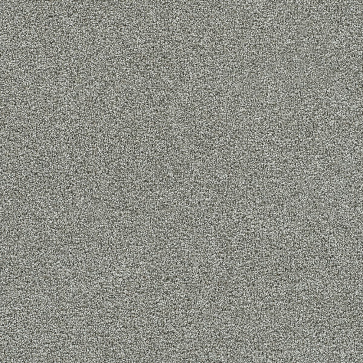 DreamWeaver® Clearwater II Texture Carpet