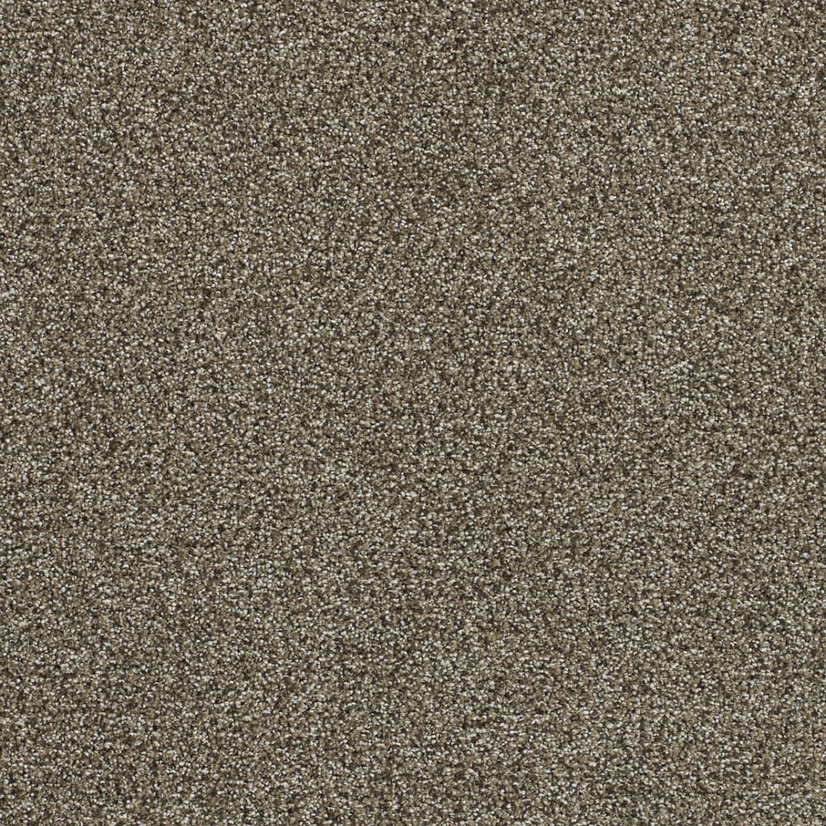 DreamWeaver® Clearwater II Texture Carpet