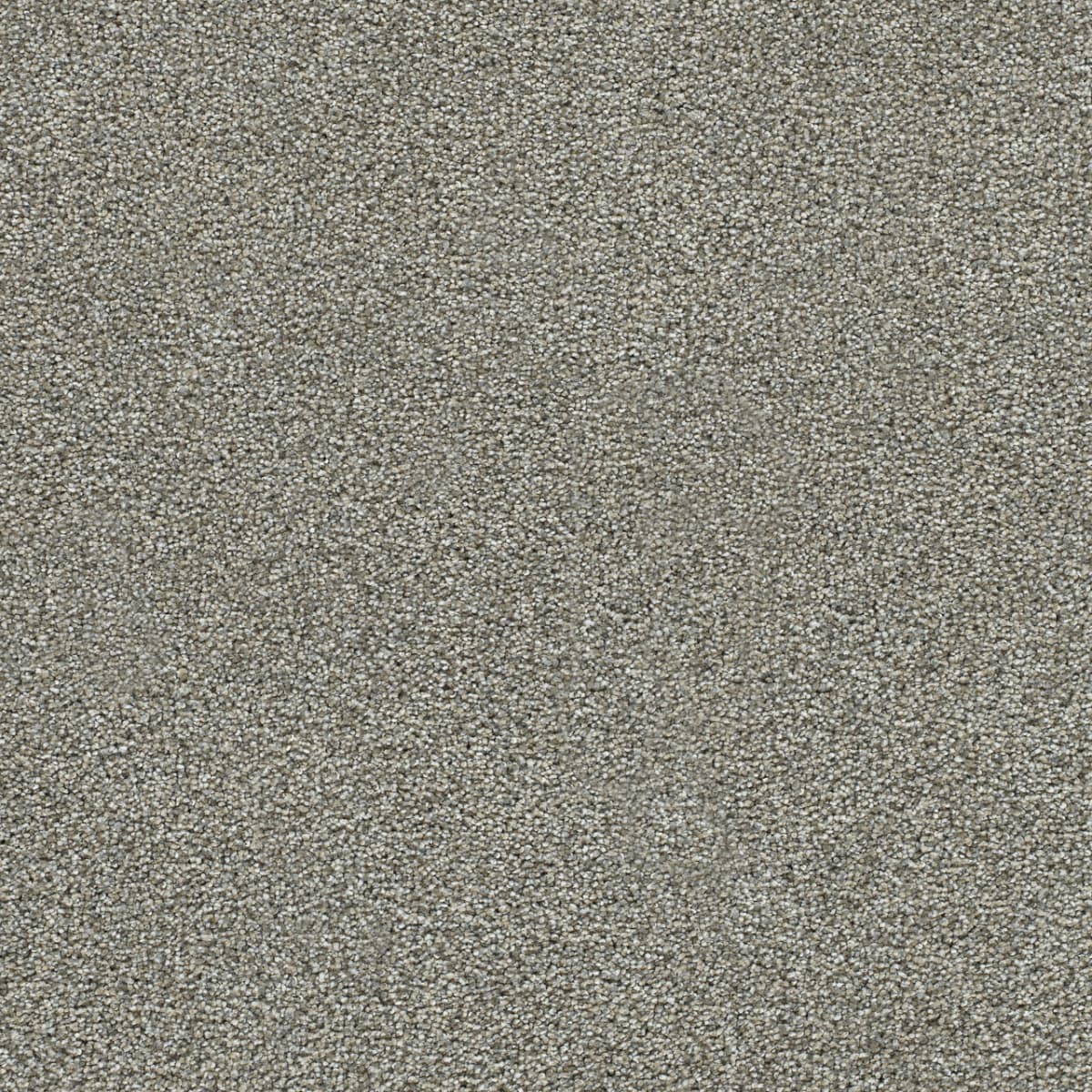 DreamWeaver® Clearwater II Texture Carpet