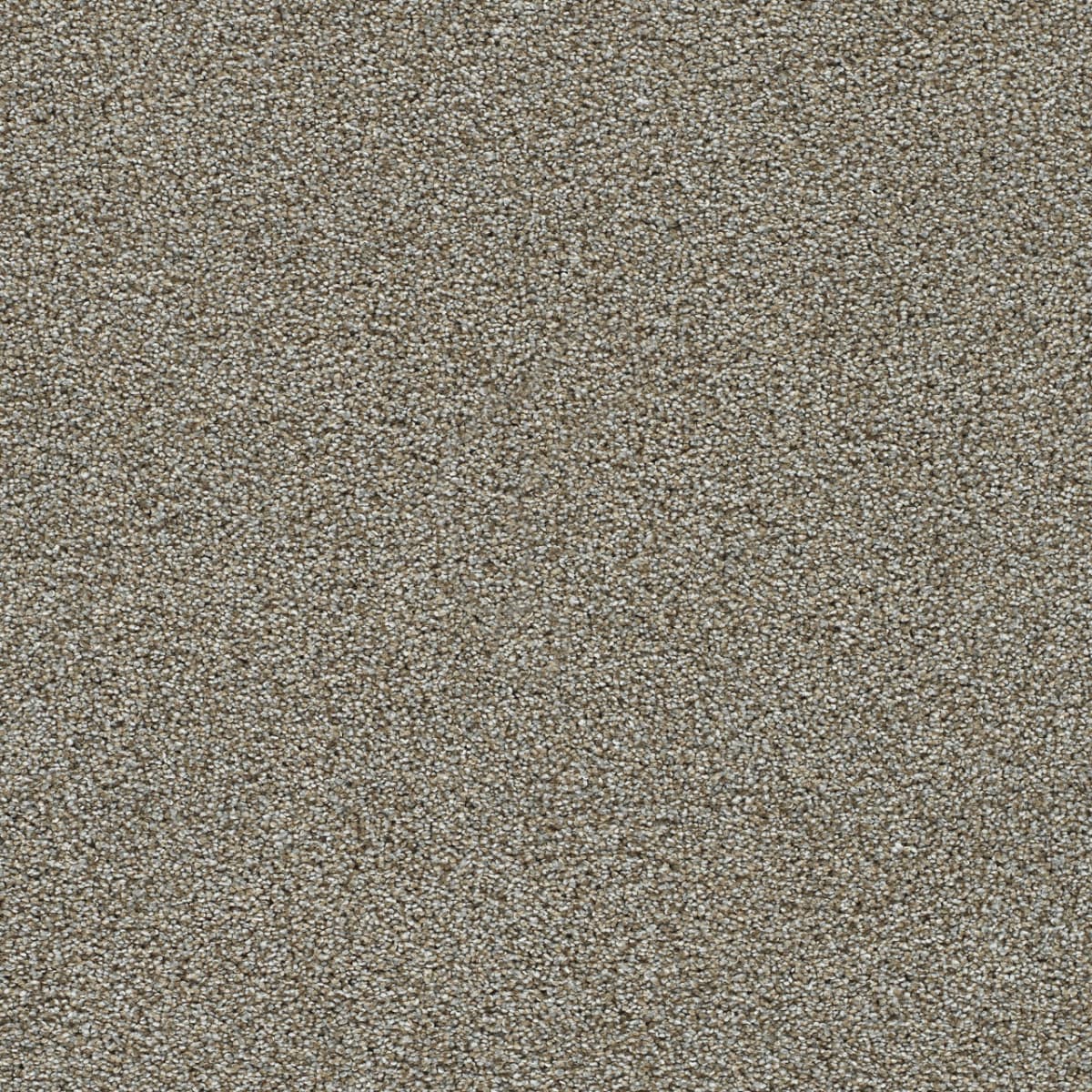 DreamWeaver® Clearwater II Texture Carpet