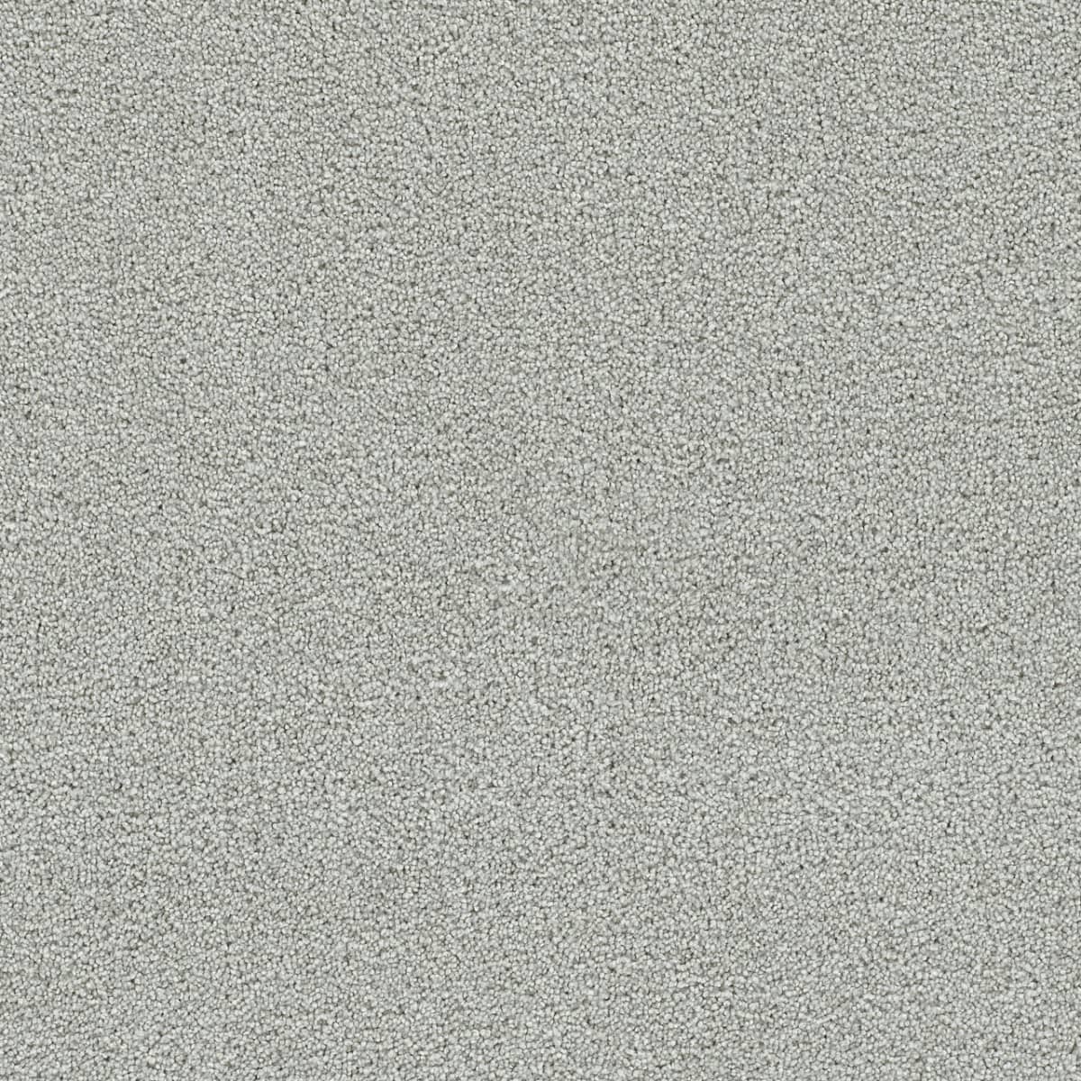 DreamWeaver® Clearwater II Texture Carpet