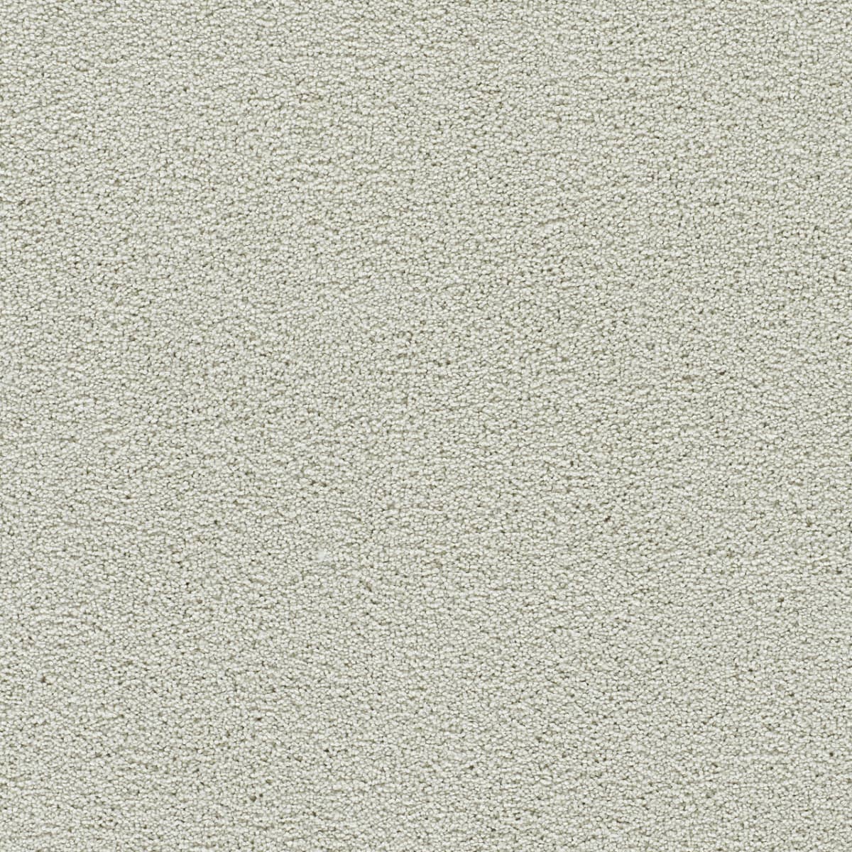 DreamWeaver® Clearwater II Texture Carpet