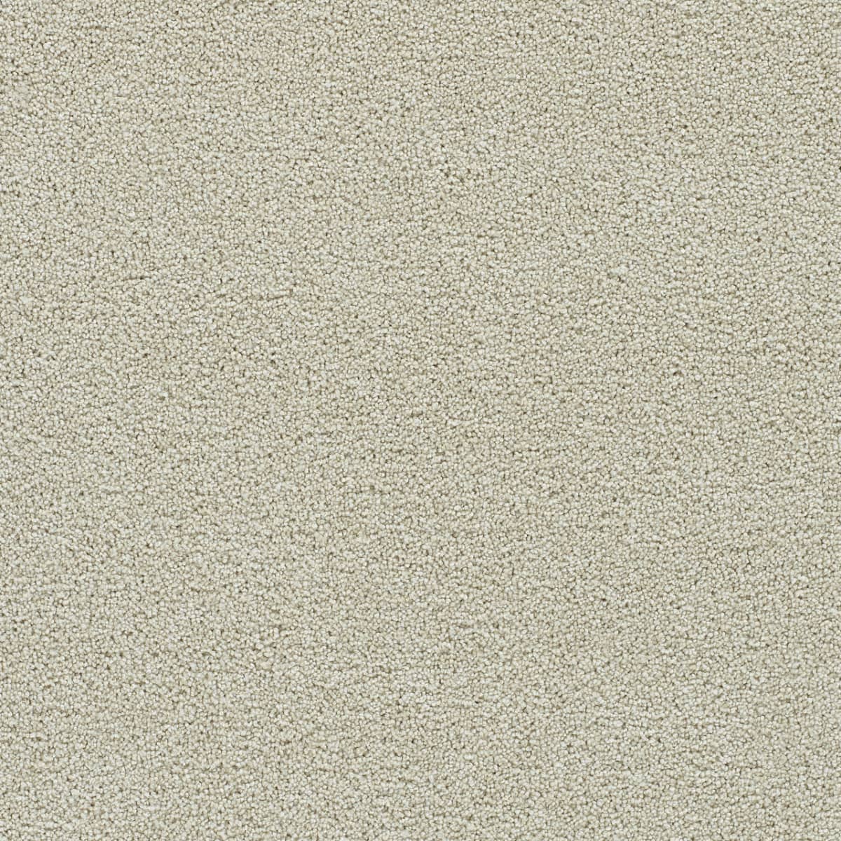 DreamWeaver® Clearwater II Texture Carpet