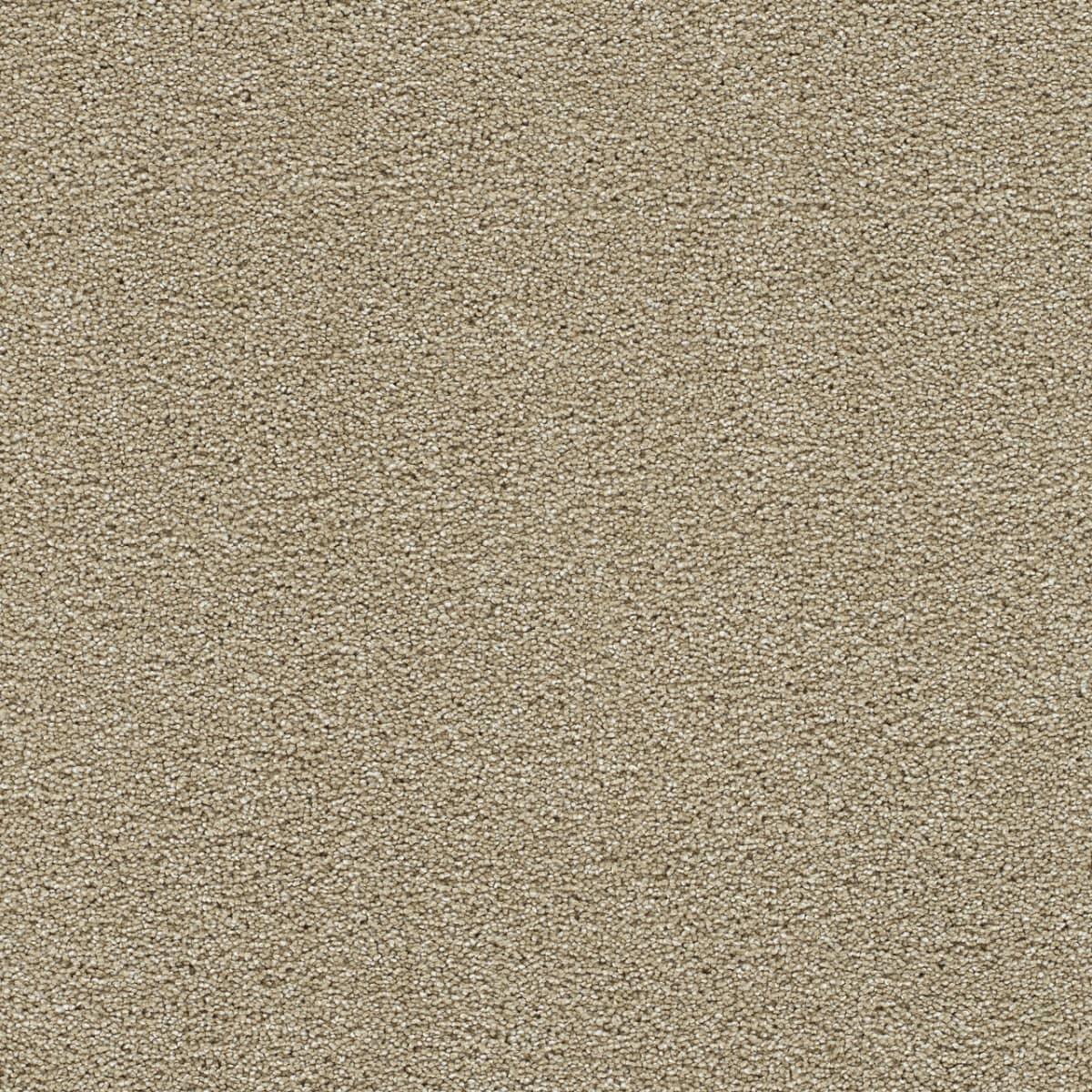 DreamWeaver® Clearwater II Texture Carpet