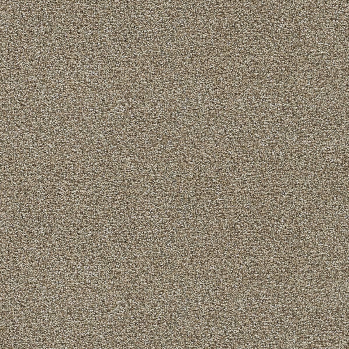DreamWeaver® Clearwater II Texture Carpet