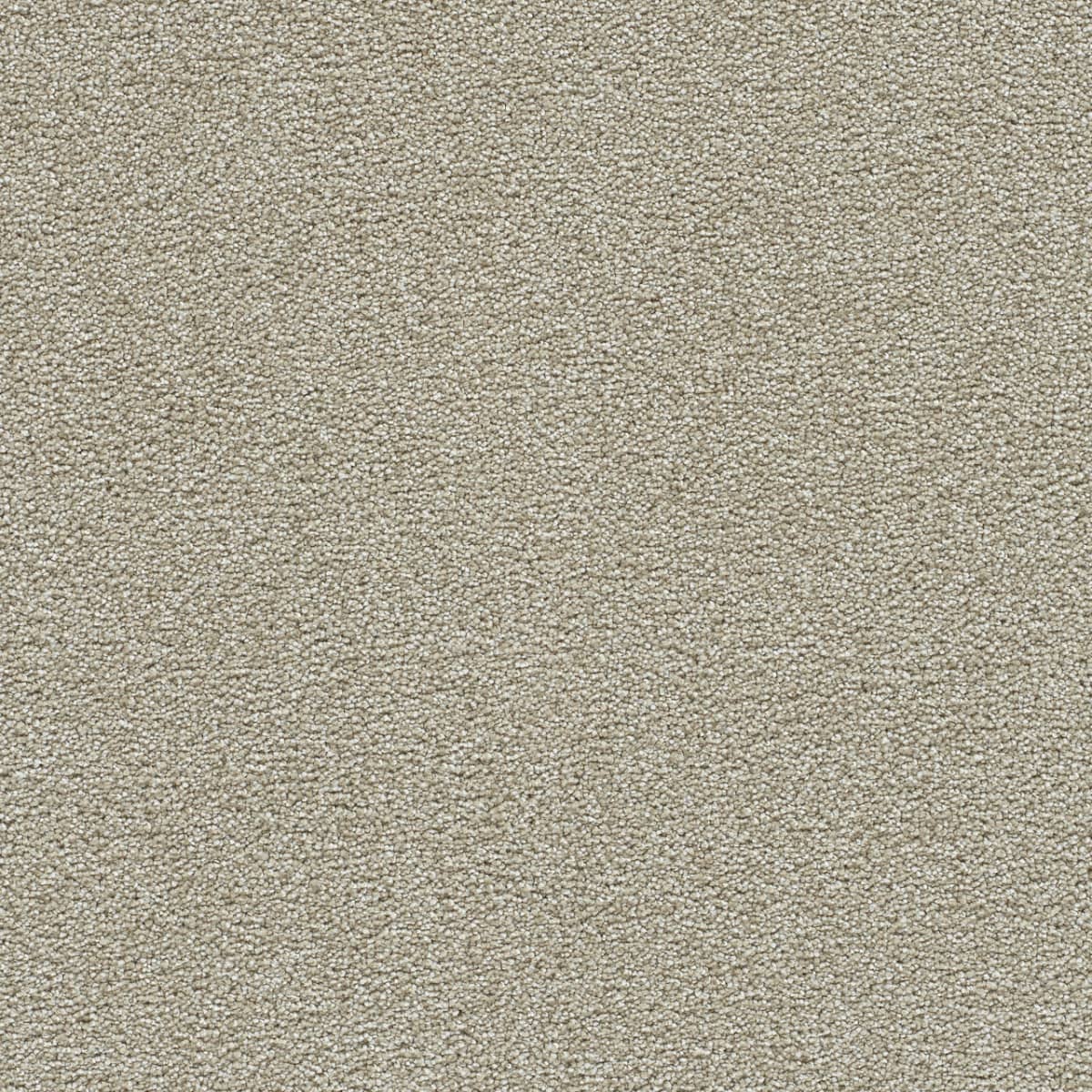 DreamWeaver® Clearwater II Texture Carpet