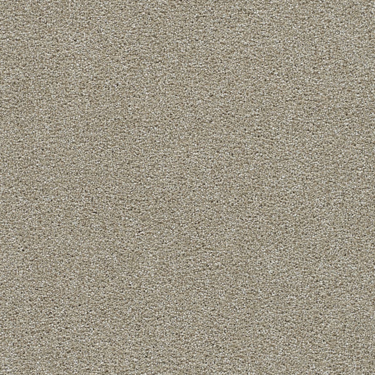 DreamWeaver® Clearwater II Texture Carpet