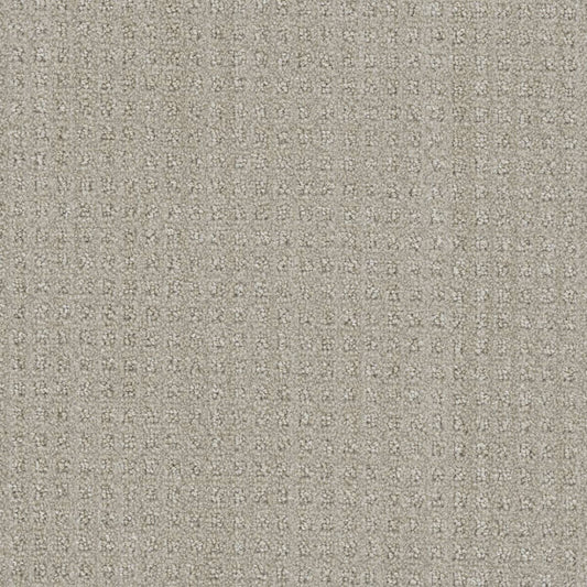 DreamWeaver® Select Dublin Patterned Carpet