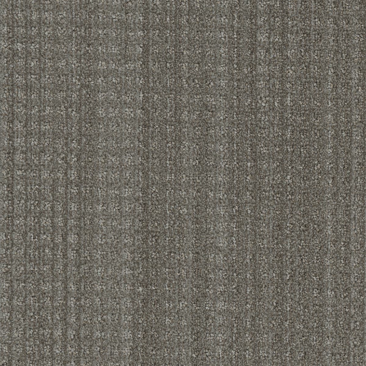 DreamWeaver® Select Dublin Patterned Carpet