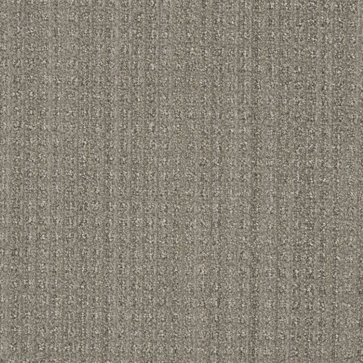 DreamWeaver® Select Dublin Patterned Carpet