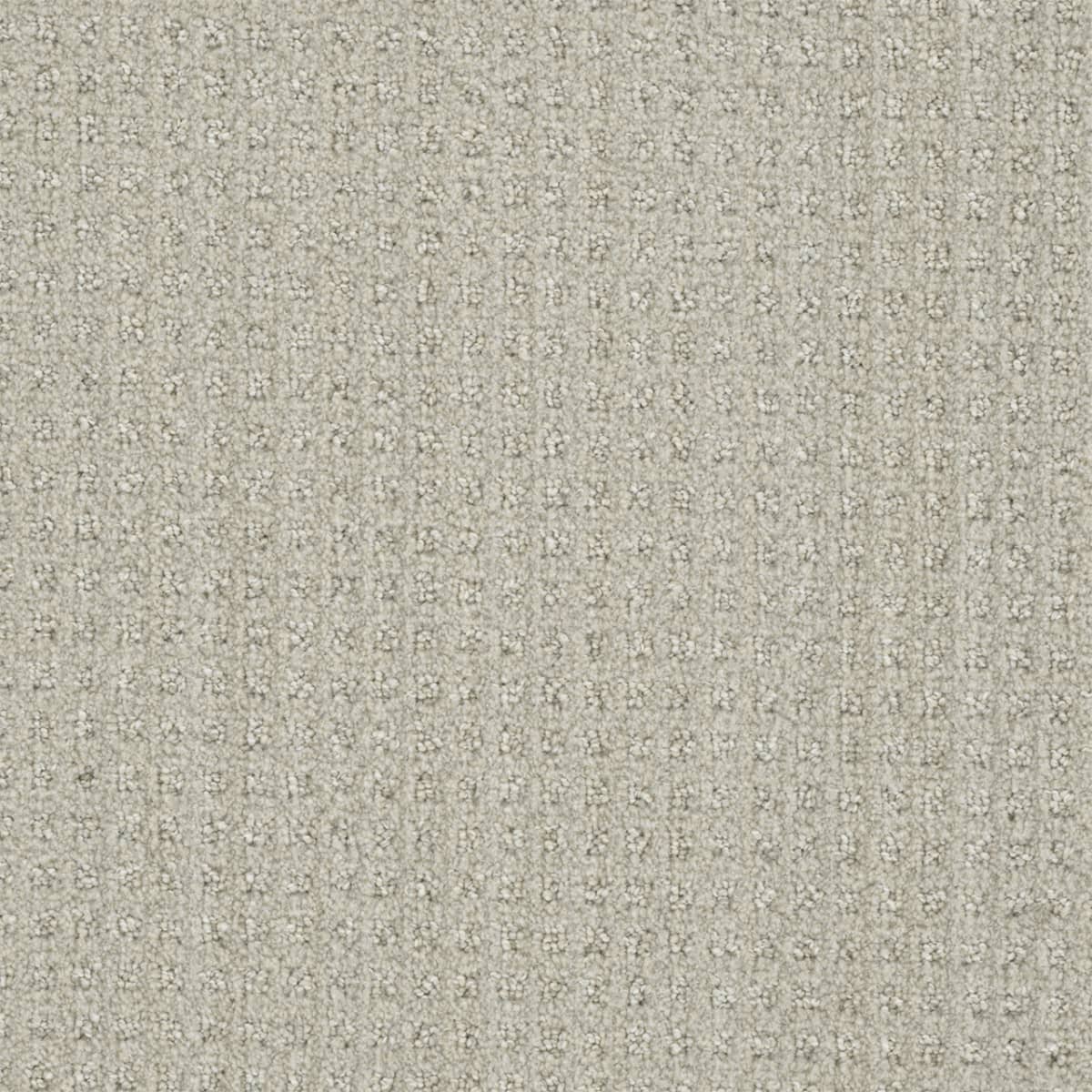 DreamWeaver® Select Dublin Patterned Carpet