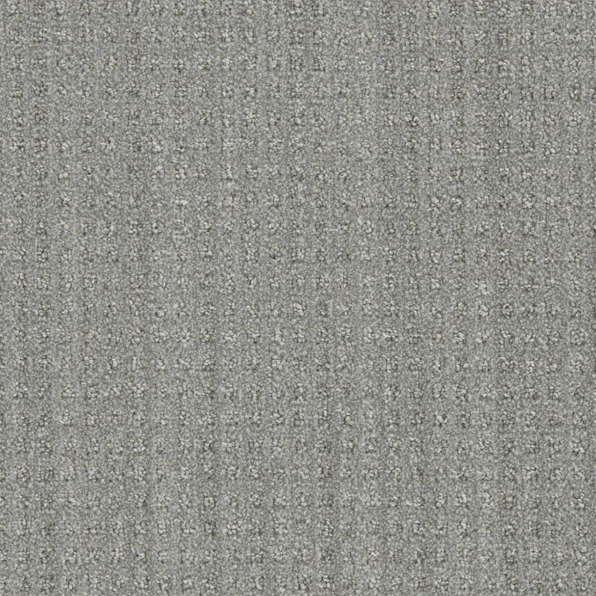 DreamWeaver® Select Dublin Patterned Carpet