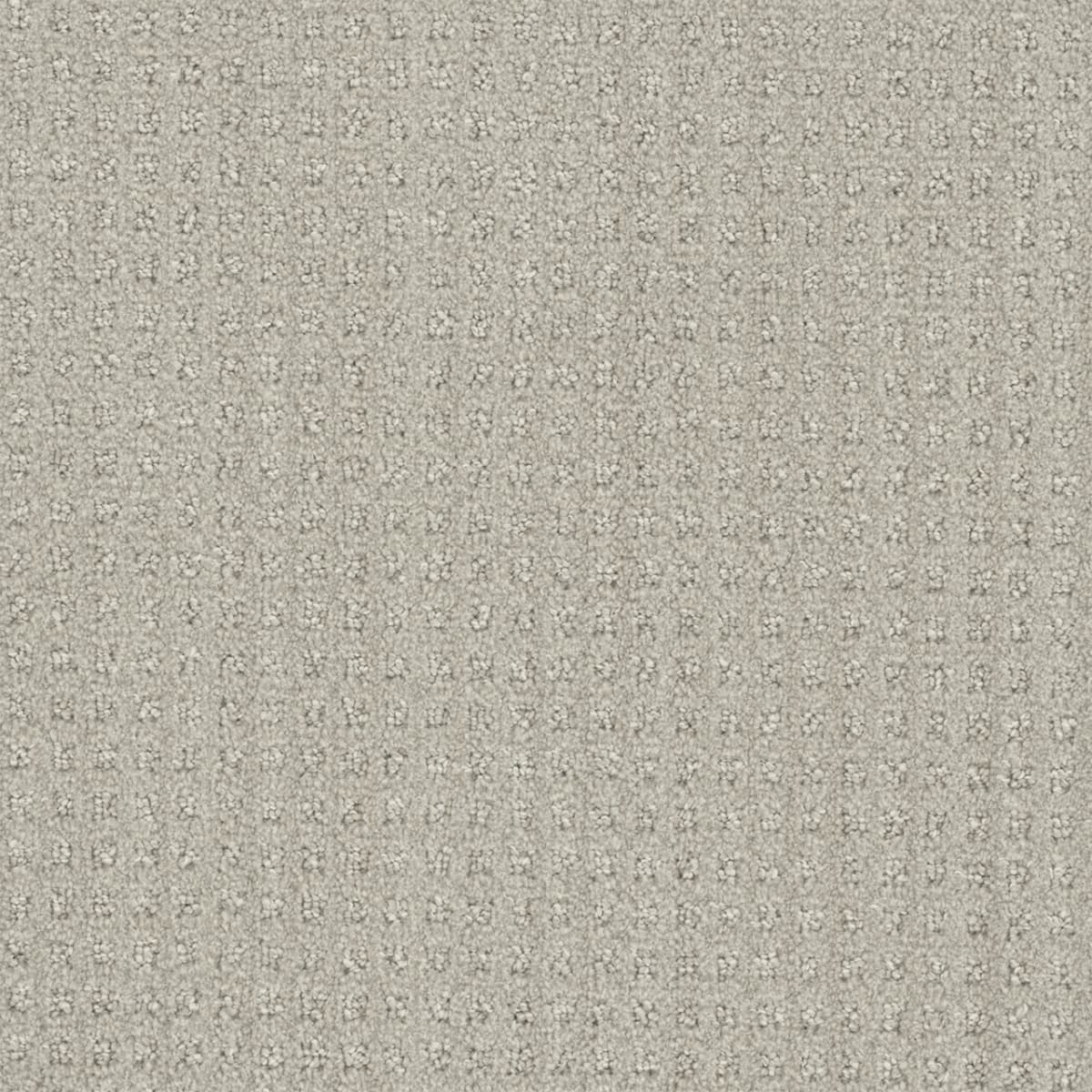 DreamWeaver® Select Dublin Patterned Carpet