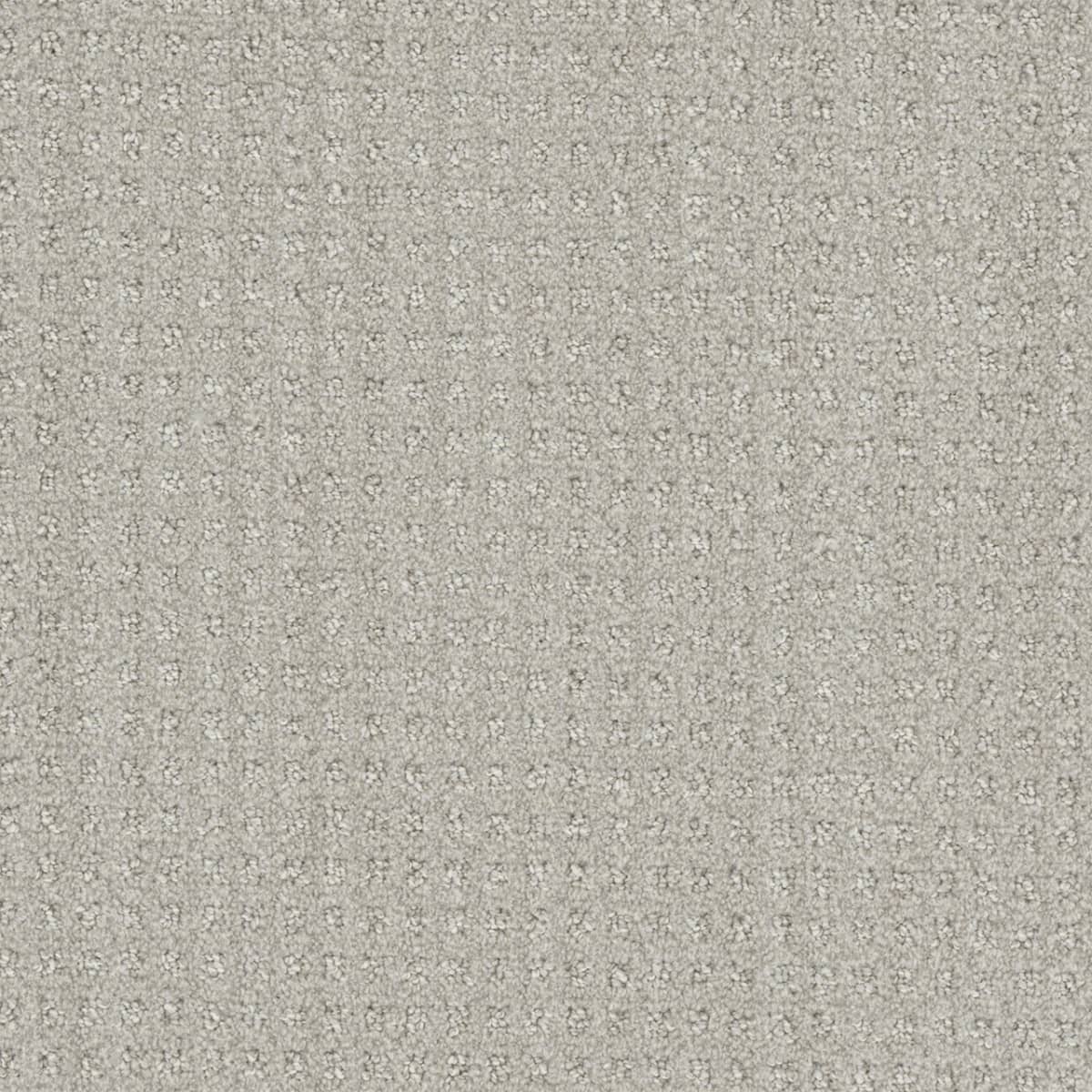 DreamWeaver® Select Dublin Patterned Carpet
