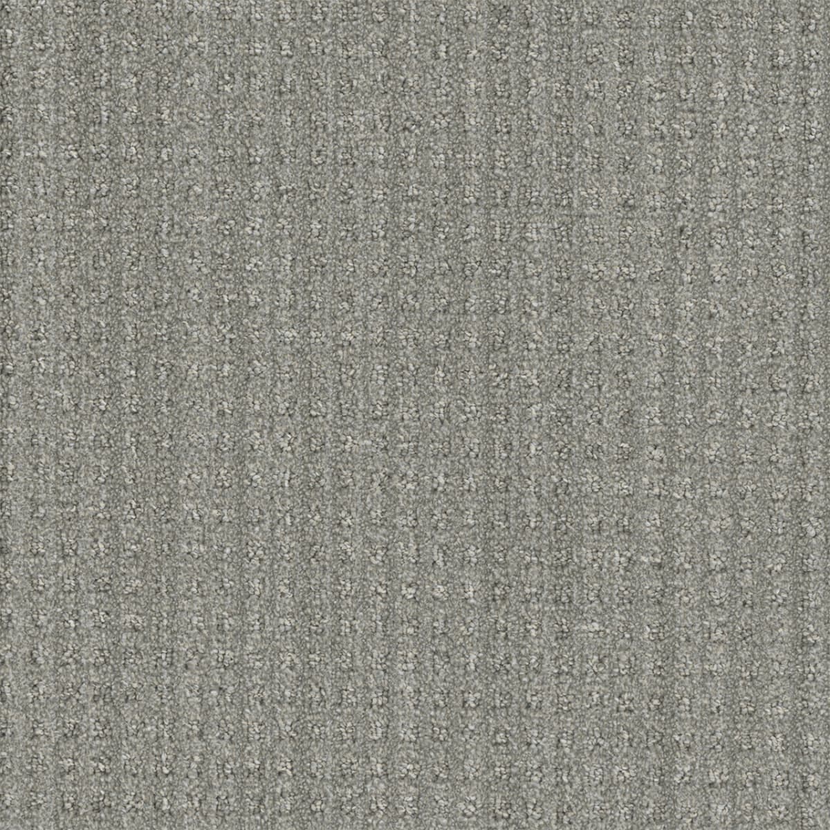 DreamWeaver® Select Dublin Patterned Carpet
