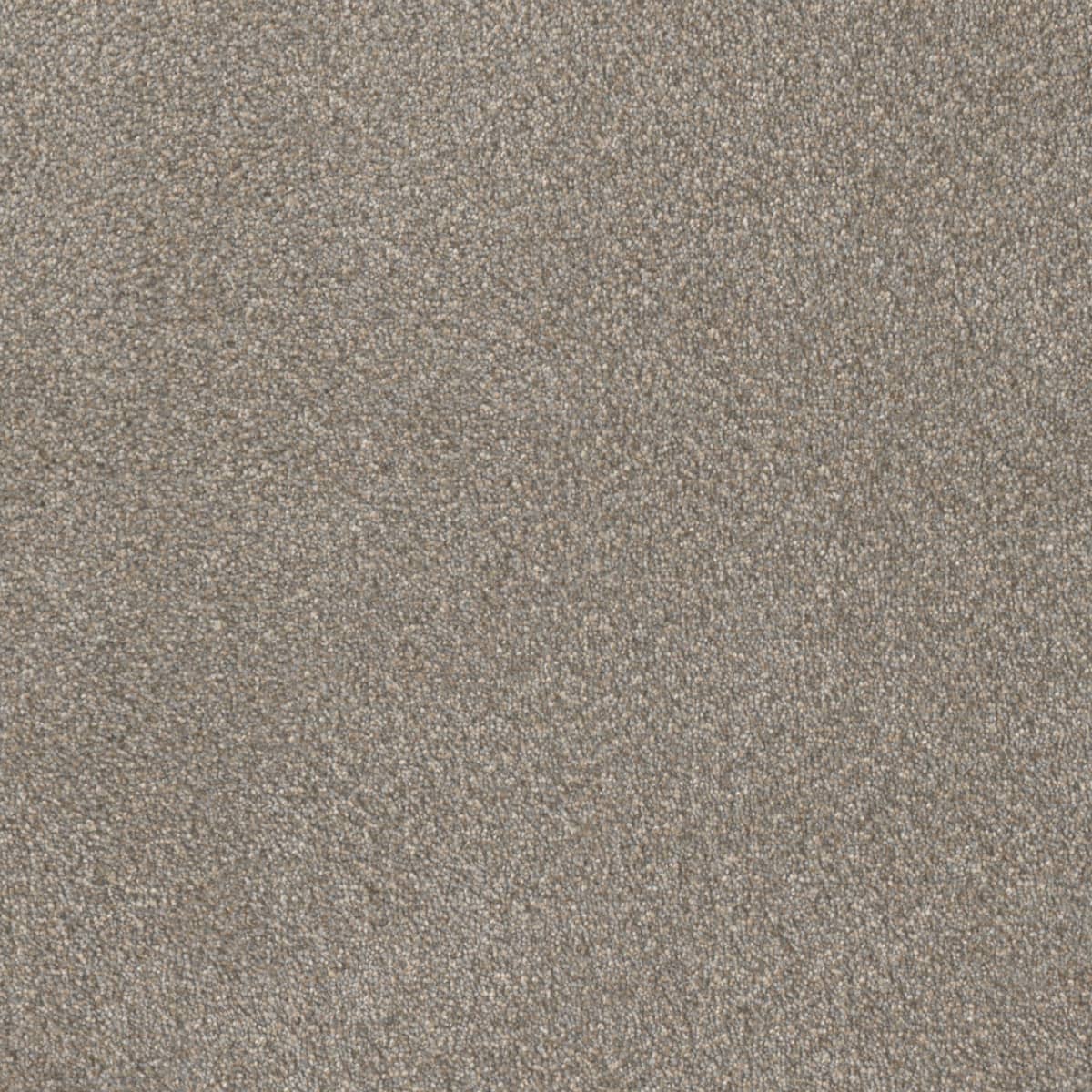DreamWeaver® East Hampton Textured Cut Pile Carpet