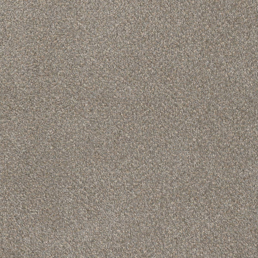 DreamWeaver® East Hampton Textured Cut Pile Carpet
