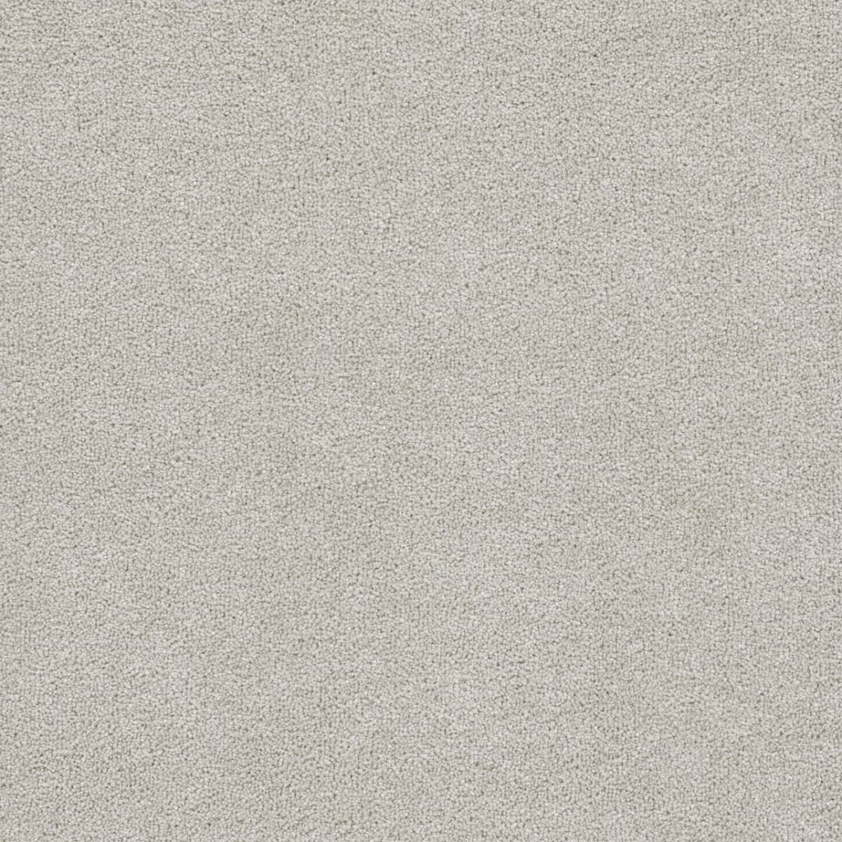 DreamWeaver® East Hampton Textured Cut Pile Carpet