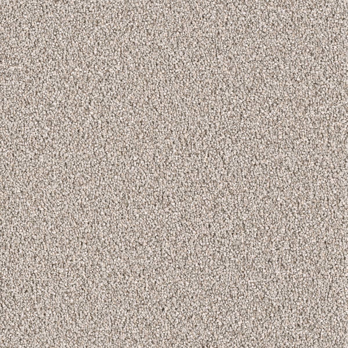 DreamWeaver® East Hampton Textured Cut Pile Carpet
