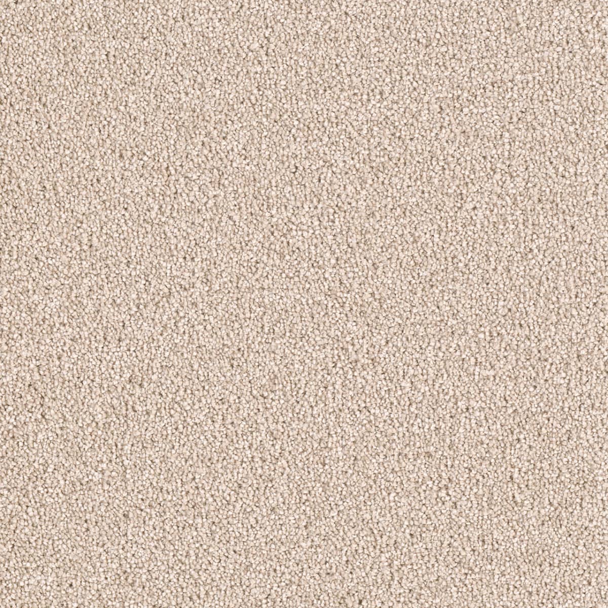 DreamWeaver® East Hampton Textured Cut Pile Carpet