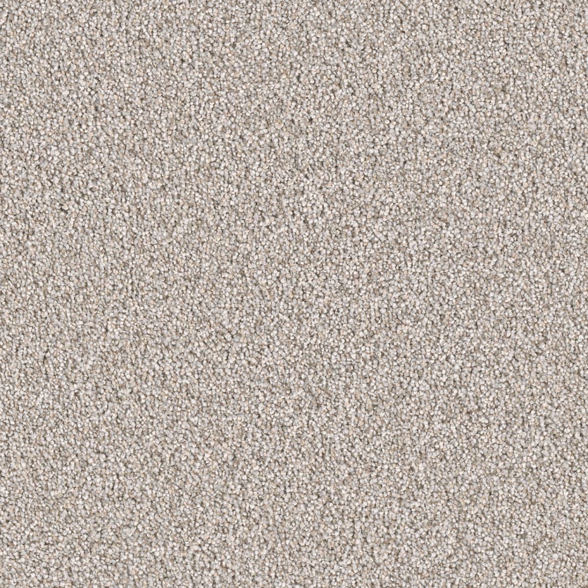 DreamWeaver® East Hampton Textured Cut Pile Carpet