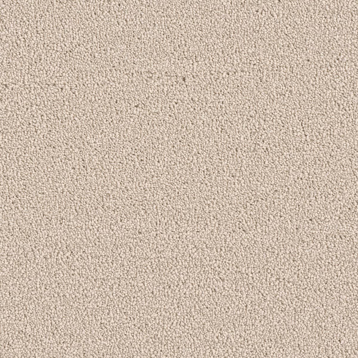 DreamWeaver® East Hampton Textured Cut Pile Carpet