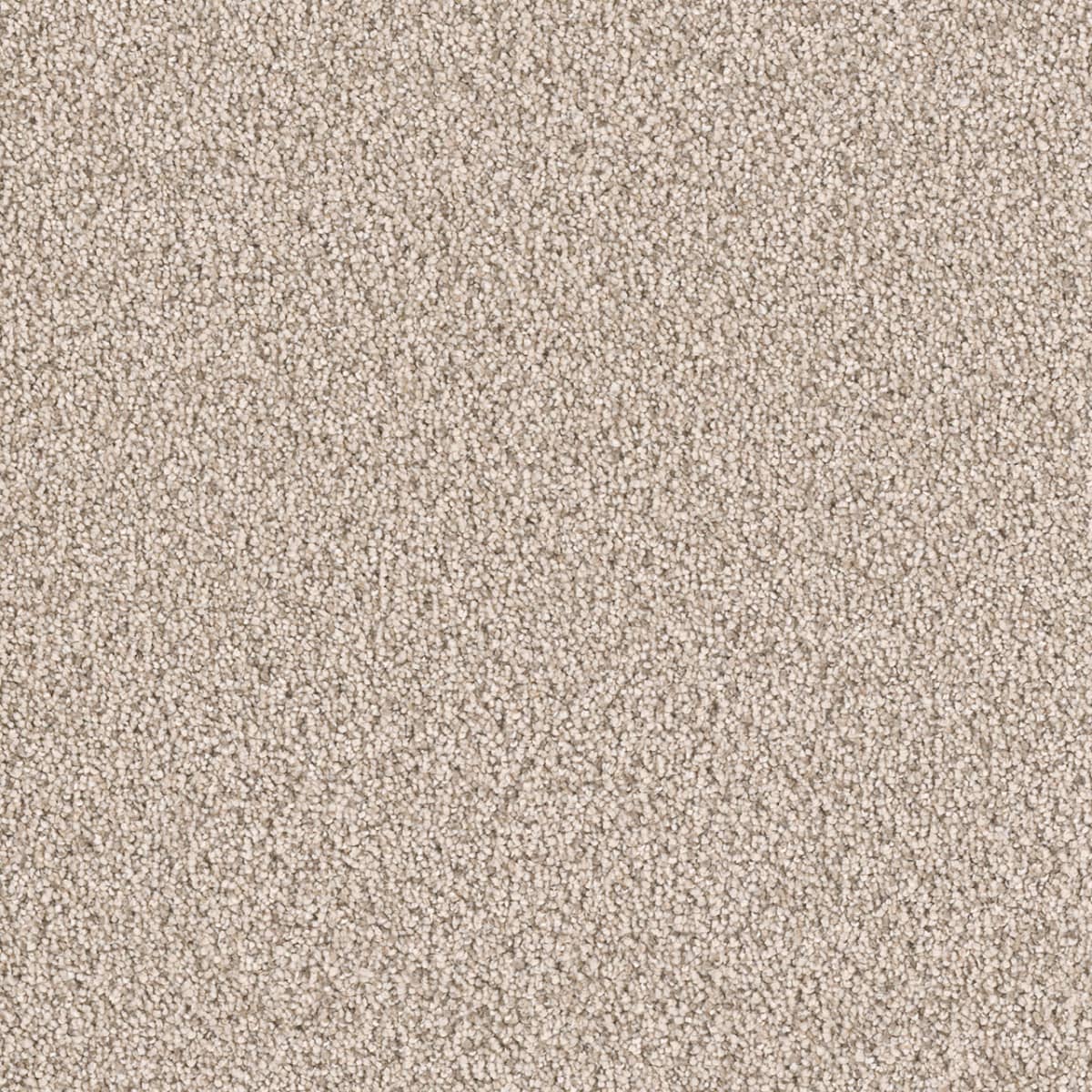 DreamWeaver® East Hampton Textured Cut Pile Carpet