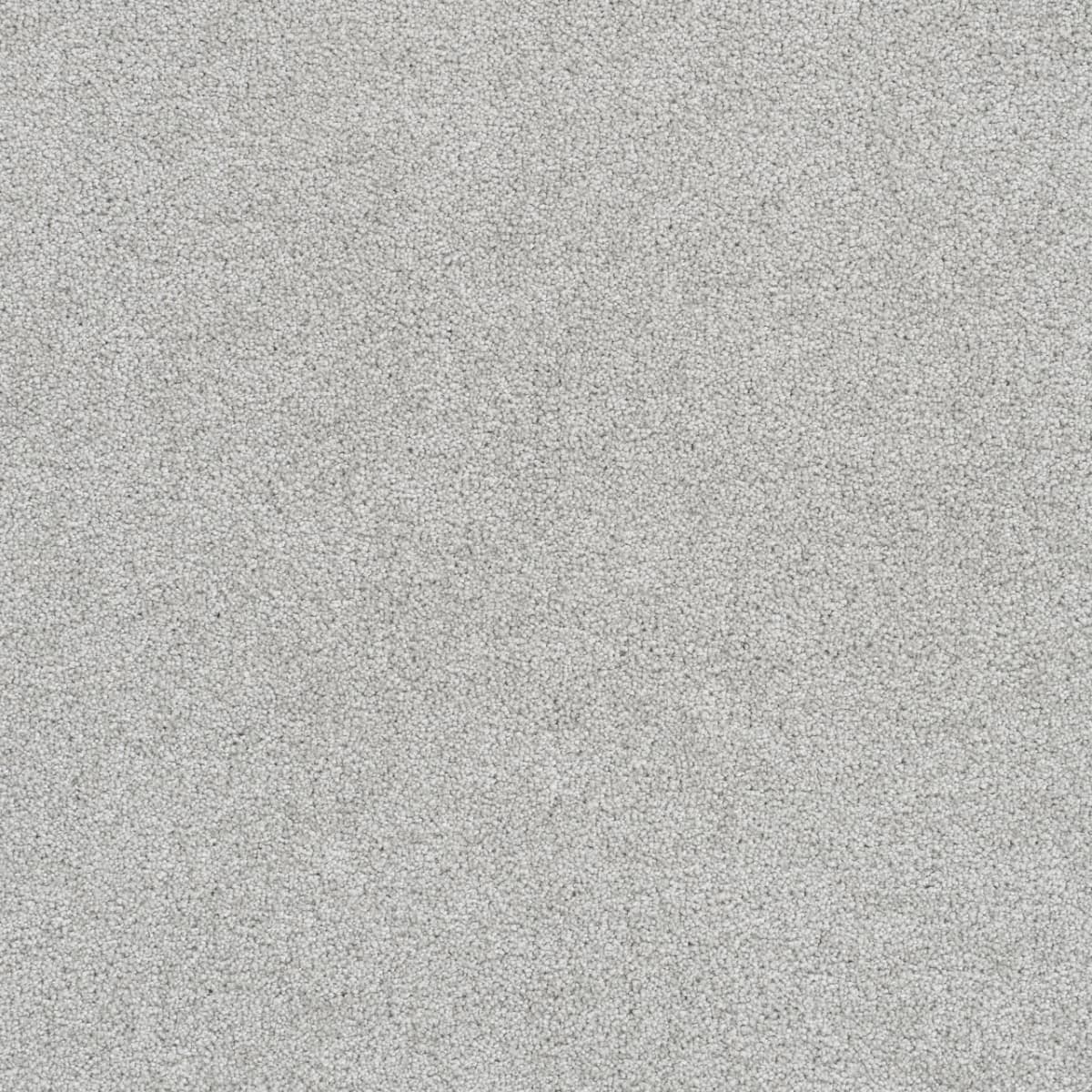 DreamWeaver® East Hampton Textured Cut Pile Carpet
