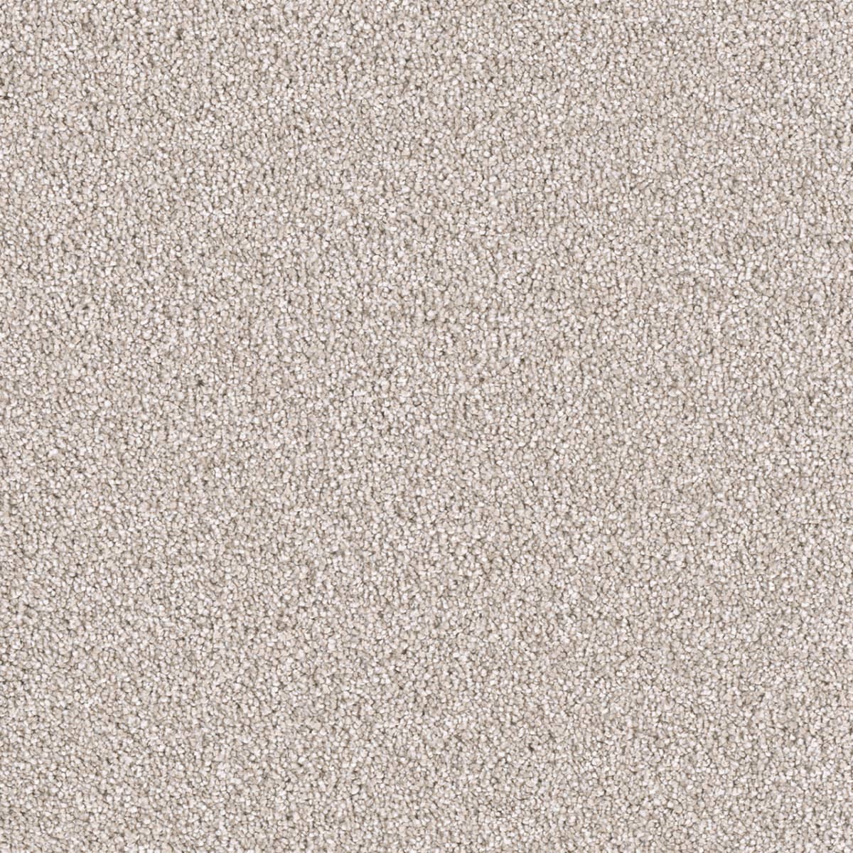DreamWeaver® East Hampton Textured Cut Pile Carpet